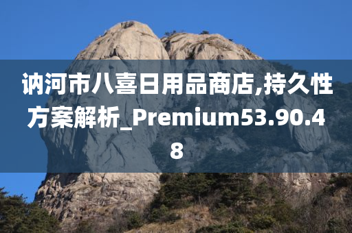 讷河市八喜日用品商店,持久性方案解析_Premium53.90.48