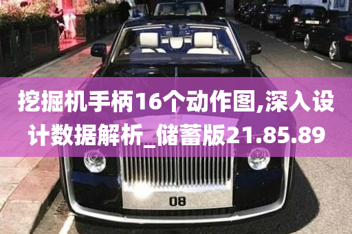 挖掘机手柄16个动作图,深入设计数据解析_储蓄版21.85.89