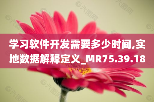 学习软件开发需要多少时间,实地数据解释定义_MR75.39.18