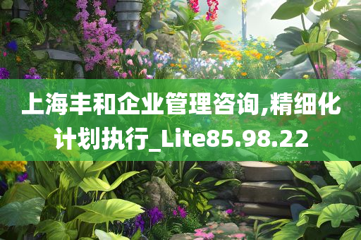 上海丰和企业管理咨询,精细化计划执行_Lite85.98.22