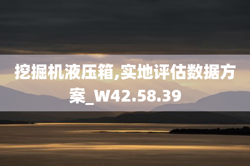 挖掘机液压箱,实地评估数据方案_W42.58.39