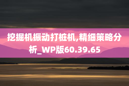 挖掘机振动打桩机,精细策略分析_WP版60.39.65