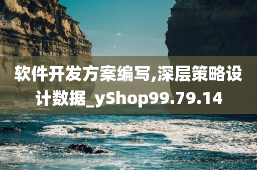 软件开发方案编写,深层策略设计数据_yShop99.79.14