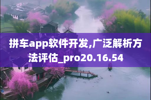 拼车app软件开发,广泛解析方法评估_pro20.16.54