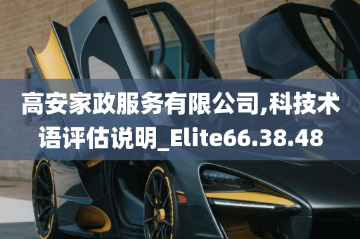 高安家政服务有限公司,科技术语评估说明_Elite66.38.48