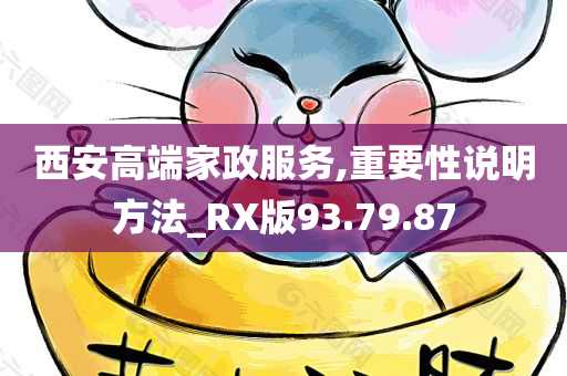 西安高端家政服务,重要性说明方法_RX版93.79.87