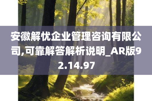 安徽解忧企业管理咨询有限公司,可靠解答解析说明_AR版92.14.97