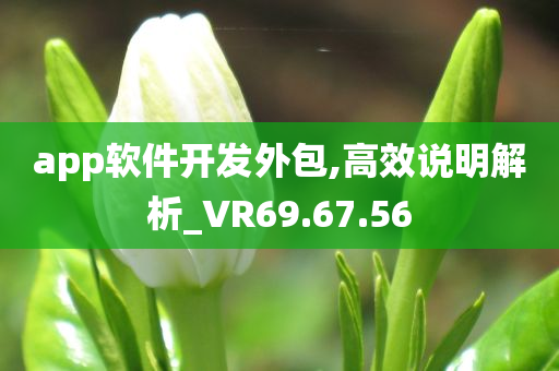 app软件开发外包,高效说明解析_VR69.67.56