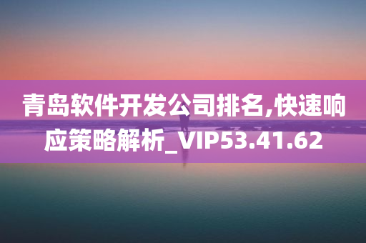 青岛软件开发公司排名,快速响应策略解析_VIP53.41.62