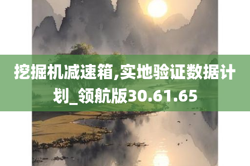 挖掘机减速箱,实地验证数据计划_领航版30.61.65