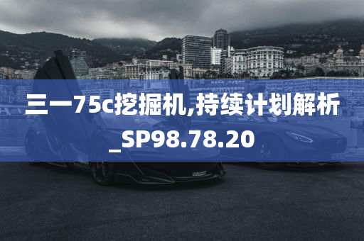 三一75c挖掘机,持续计划解析_SP98.78.20