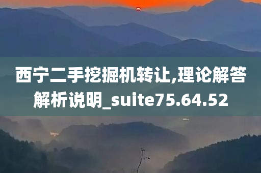 西宁二手挖掘机转让,理论解答解析说明_suite75.64.52