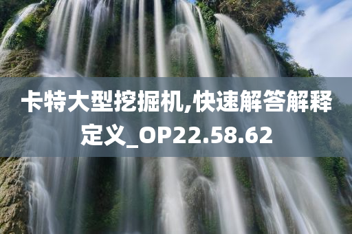 卡特大型挖掘机,快速解答解释定义_OP22.58.62