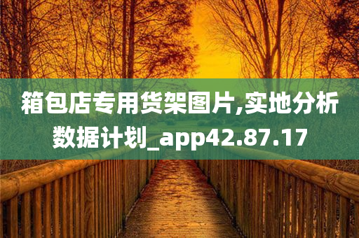 箱包店专用货架图片,实地分析数据计划_app42.87.17