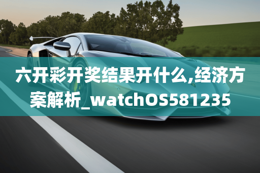 六开彩开奖结果开什么,经济方案解析_watchOS581235