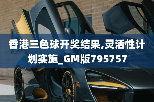 香港三色球开奖结果,灵活性计划实施_GM版795757