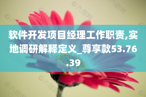 软件开发项目经理工作职责,实地调研解释定义_尊享款53.76.39