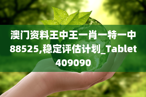 澳门资料王中王一肖一特一中88525,稳定评估计划_Tablet409090