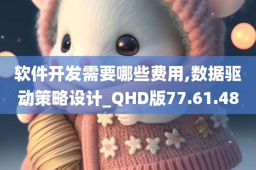 软件开发需要哪些费用,数据驱动策略设计_QHD版77.61.48