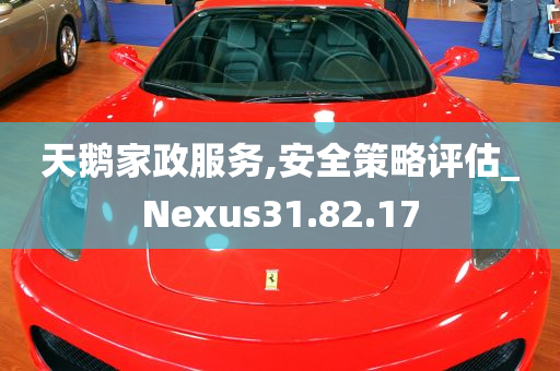 天鹅家政服务,安全策略评估_Nexus31.82.17