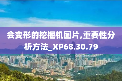 会变形的挖掘机图片,重要性分析方法_XP68.30.79