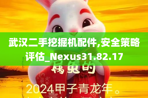 武汉二手挖掘机配件,安全策略评估_Nexus31.82.17