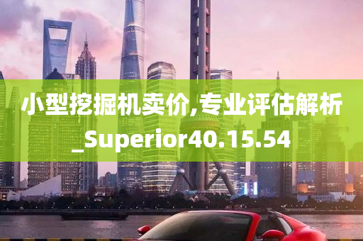 小型挖掘机卖价,专业评估解析_Superior40.15.54