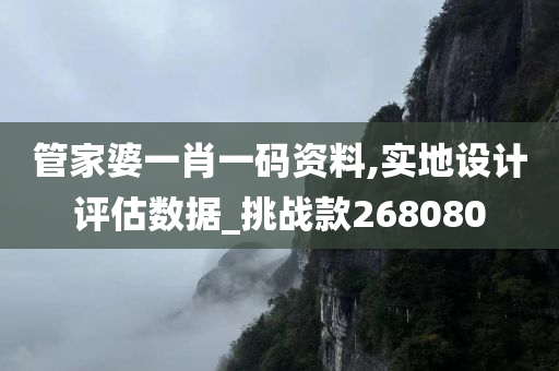 管家婆一肖一码资料,实地设计评估数据_挑战款268080