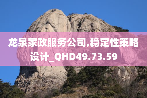 龙泉家政服务公司,稳定性策略设计_QHD49.73.59