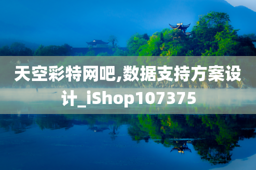 天空彩特网吧,数据支持方案设计_iShop107375