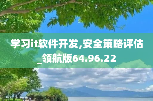 学习it软件开发,安全策略评估_领航版64.96.22