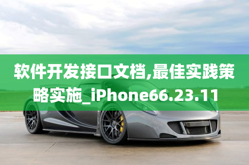 软件开发接口文档,最佳实践策略实施_iPhone66.23.11