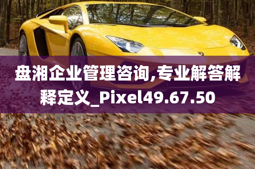 盘湘企业管理咨询,专业解答解释定义_Pixel49.67.50