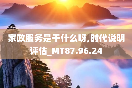 家政服务是干什么呀,时代说明评估_MT87.96.24