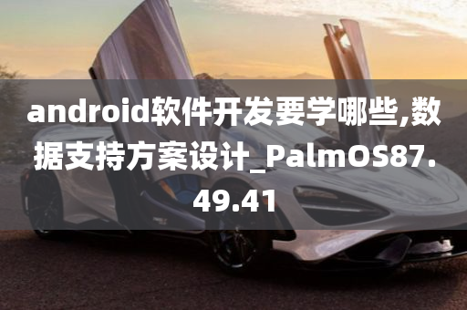 android软件开发要学哪些,数据支持方案设计_PalmOS87.49.41