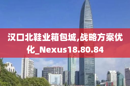 汉口北鞋业箱包城,战略方案优化_Nexus18.80.84