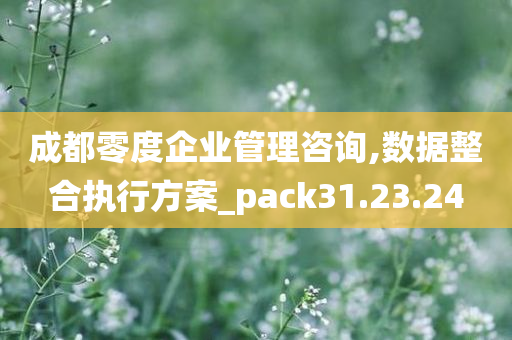 成都零度企业管理咨询,数据整合执行方案_pack31.23.24