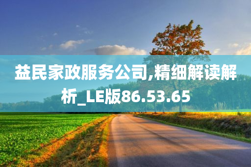 益民家政服务公司,精细解读解析_LE版86.53.65