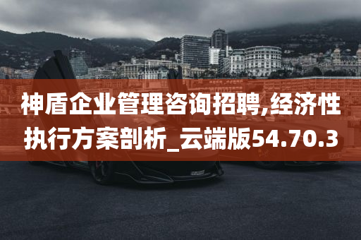 神盾企业管理咨询招聘,经济性执行方案剖析_云端版54.70.30