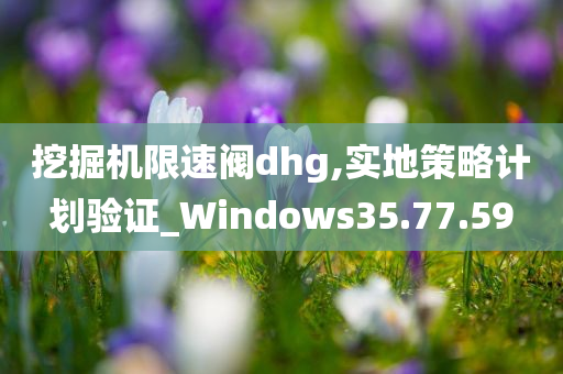 挖掘机限速阀dhg,实地策略计划验证_Windows35.77.59