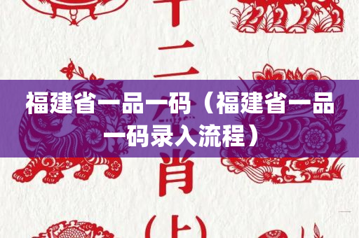 福建省一品一码（福建省一品一码录入流程）