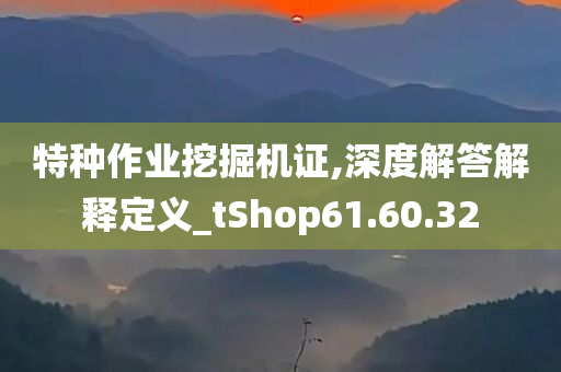 特种作业挖掘机证,深度解答解释定义_tShop61.60.32