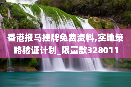 香港报马挂牌免费资料,实地策略验证计划_限量款328011