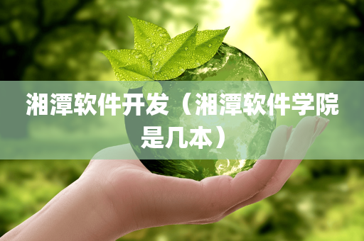 湘潭软件开发（湘潭软件学院是几本）