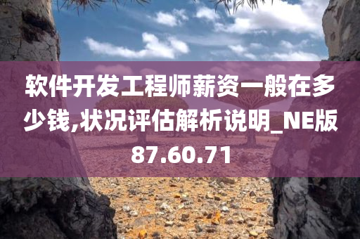 软件开发工程师薪资一般在多少钱,状况评估解析说明_NE版87.60.71