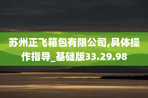 苏州正飞箱包有限公司,具体操作指导_基础版33.29.98