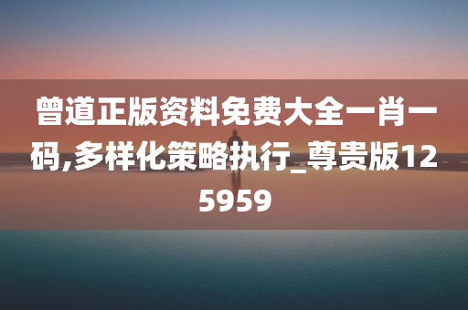 曾道正版资料免费大全一肖一码,多样化策略执行_尊贵版125959