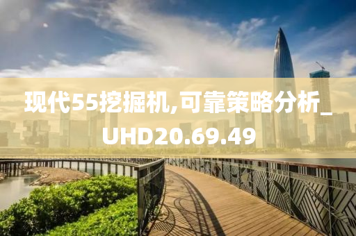 现代55挖掘机,可靠策略分析_UHD20.69.49