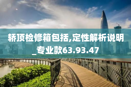 轿顶检修箱包括,定性解析说明_专业款63.93.47