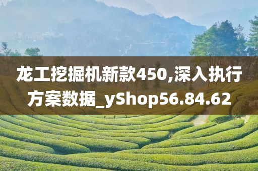 龙工挖掘机新款450,深入执行方案数据_yShop56.84.62